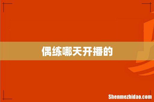 偶练哪天开播的