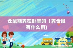 仓鼠能养在卧室吗（养仓鼠有什么用)