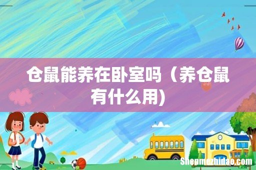 仓鼠能养在卧室吗(养仓鼠有什么用)