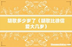 胡歌比徐信爱大几岁 胡歌多少岁了