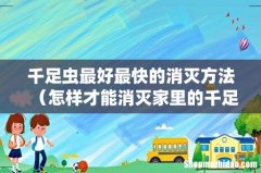 怎样才能消灭家里的千足虫 千足虫最好最快的消灭方法