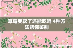 草莓变软了还能吃吗 4种方法帮你鉴别