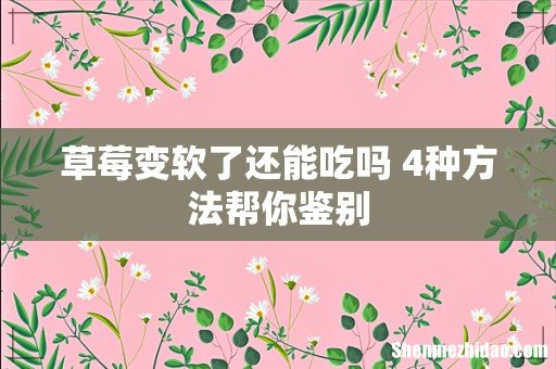 草莓变软了还能吃吗 4种方法帮你鉴别