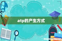 atp的产生方式