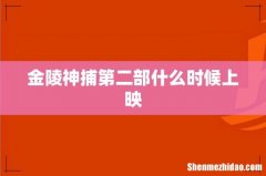 金陵神捕第二部什么时候上映
