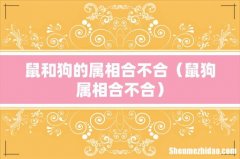 鼠狗属相合不合 鼠和狗的属相合不合