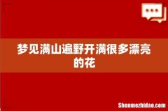 梦见满山遍野开满很多漂亮的花