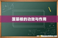 菠菜根的功效与作用