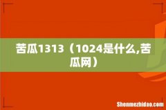 1024是什么,苦瓜网 苦瓜1313