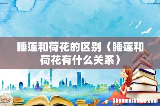 睡莲和荷花有什么关系 睡莲和荷花的区别