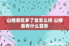 山楂条吃多了会怎么样 山楂条有什么营养