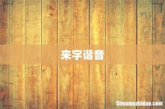 来字谐音