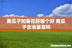 南瓜子和葵花籽哪个好 南瓜子含油量高吗
