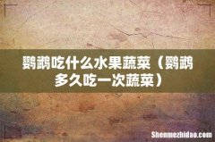 鹦鹉多久吃一次蔬菜 鹦鹉吃什么水果蔬菜
