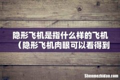 隐形飞机肉眼可以看得到吗 隐形飞机是指什么样的飞机