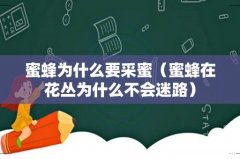 蜜蜂在花丛为什么不会迷路 蜜蜂为什么要采蜜