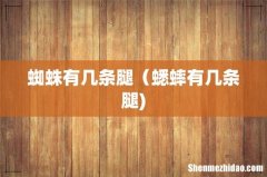蜘蛛有几条腿（蟋蟀有几条腿)