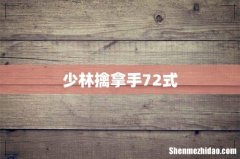 少林擒拿手72式