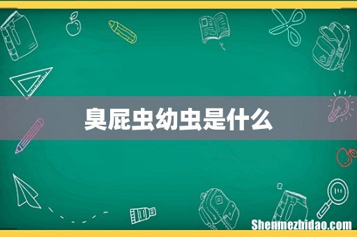臭屁虫幼虫是什么