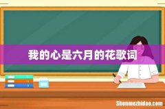 我的心是六月的花歌词