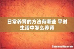 日常养肾的方法有哪些 平时生活中怎么养肾