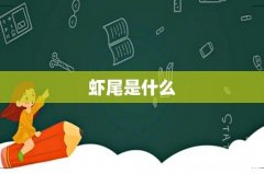 虾尾是什么