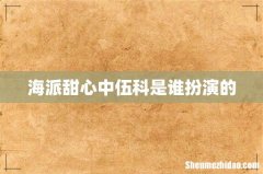海派甜心中伍科是谁扮演的