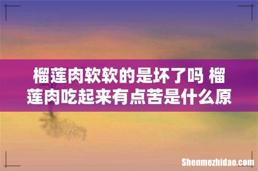 榴莲肉软软的是坏了吗 榴莲肉吃起来有点苦是什么原因