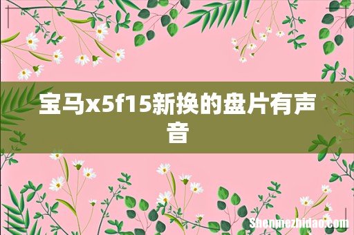 宝马x5f15新换的盘片有声音