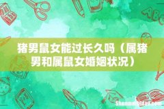 属猪男和属鼠女婚姻状况 猪男鼠女能过长久吗