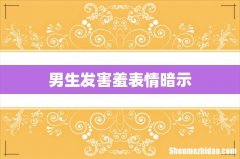 男生发害羞表情暗示