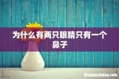 为什么有两只眼睛只有一个鼻子