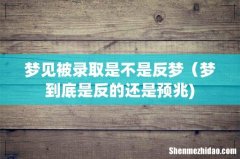 梦见被录取是不是反梦（梦到底是反的还是预兆)