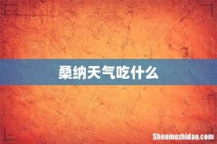 桑纳天气吃什么