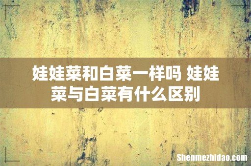娃娃菜和白菜一样吗 娃娃菜与白菜有什么区别