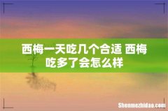 西梅一天吃几个合适 西梅吃多了会怎么样