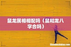 鼠和龙八字合吗 鼠龙属相相配吗
