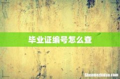 毕业证编号怎么查
