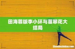 田海蓉版李小环与苗翠花大结局