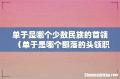 单于是哪个部落的头领职位 单于是哪个少数民族的首领