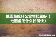 地图鱼吃什么长得快 地图鱼吃什么食物比较好