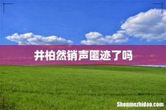 井柏然销声匿迹了吗