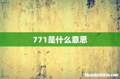 771是什么意思