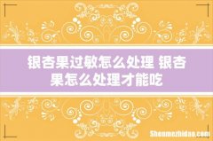 银杏果过敏怎么处理 银杏果怎么处理才能吃