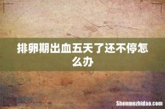 排卵期出血五天了还不停怎么办