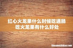 红心火龙果什么时候吃通肠 吃火龙果有什么好处