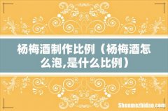 杨梅酒怎么泡,是什么比例 杨梅酒制作比例