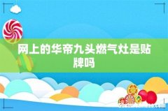网上的华帝九头燃气灶是贴牌吗