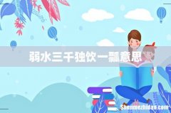 弱水三千独饮一瓢意思