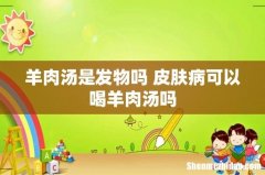 羊肉汤是发物吗 皮肤病可以喝羊肉汤吗